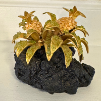 Crystal Gemstones Black Lava Rock with Pineapple Plant Creation Tropical
