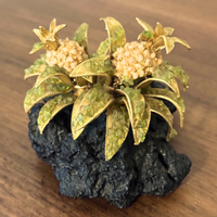 Crystal Gemstones Black Lava Rock with Pineapple Plant Creation Tropical
