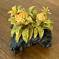 Crystal Gemstones Black Lava Rock with Pineapple Plant Creation Tropical
