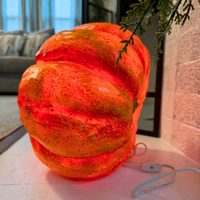 Lighted Pumpkin Jack-O-Lantern Halloween Decoration
